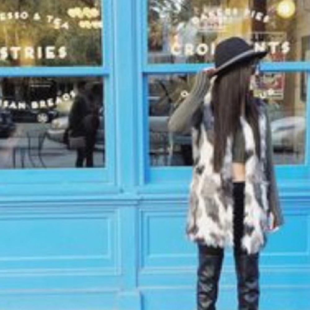 Fur Vest
